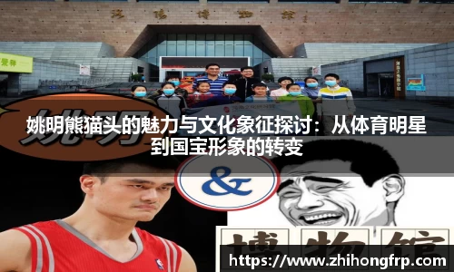 姚明熊猫头的魅力与文化象征探讨：从体育明星到国宝形象的转变