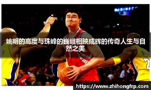 贝博BB官方网站