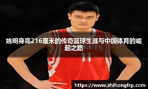 贝博BB官方网站
